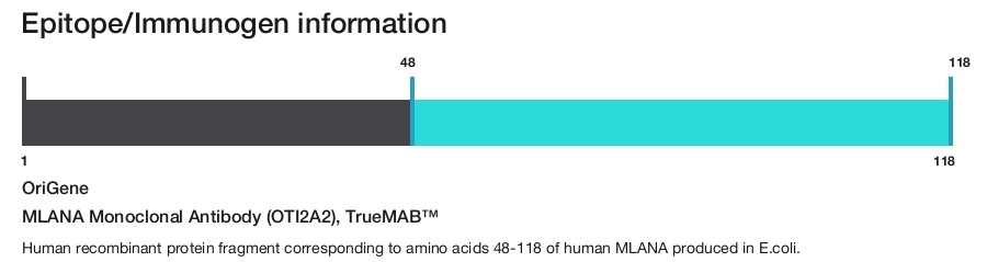 MLANA Monoclonal Antibody (OTI2A2), TrueMAB&trade;