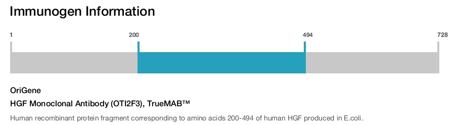 HGF Monoclonal Antibody (OTI2F3), TrueMAB&trade;
