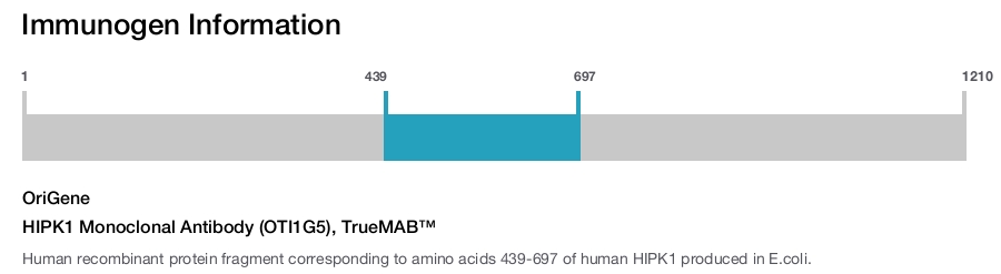 HIPK1 Monoclonal Antibody (OTI1G5), TrueMAB&trade;