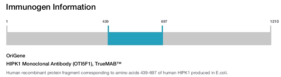 HIPK1 Monoclonal Antibody (OTI5F1), TrueMAB&trade;