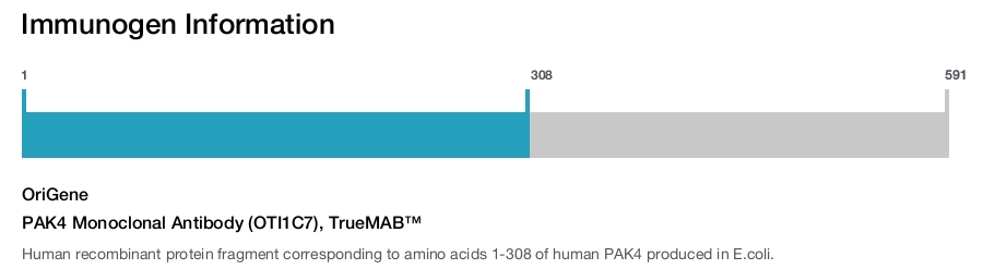 PAK4 Monoclonal Antibody (OTI1C7), TrueMAB&trade;