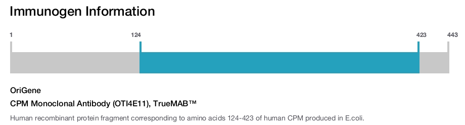 CPM Monoclonal Antibody (OTI4E11), TrueMAB&trade;