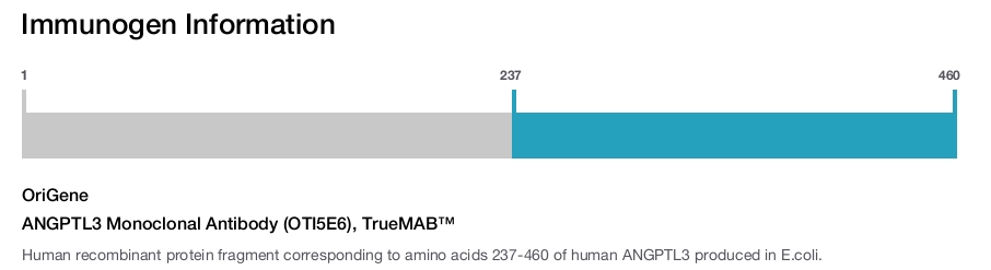 ANGPTL3 Monoclonal Antibody (OTI5E6), TrueMAB&trade;