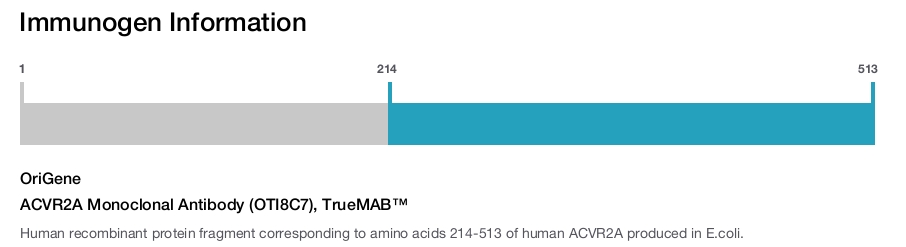 ACVR2A Monoclonal Antibody (OTI8C7), TrueMAB&trade;
