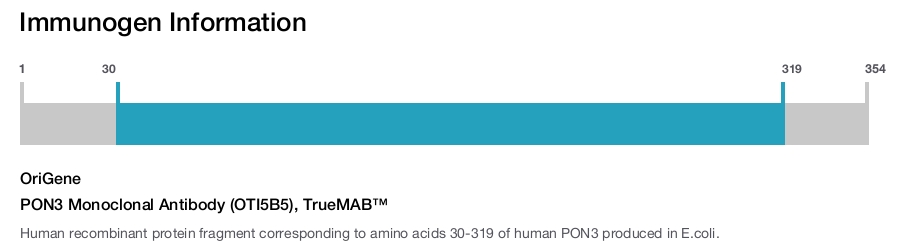 PON3 Monoclonal Antibody (OTI5B5), TrueMAB&trade;