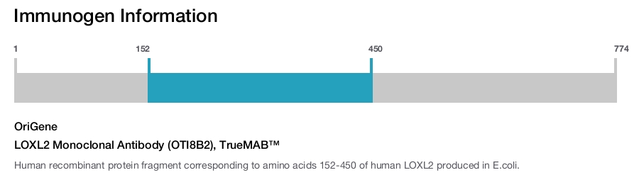 LOXL2 Monoclonal Antibody (OTI8B2), TrueMAB&trade;