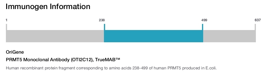 PRMT5 Monoclonal Antibody (OTI2C12), TrueMAB&trade;