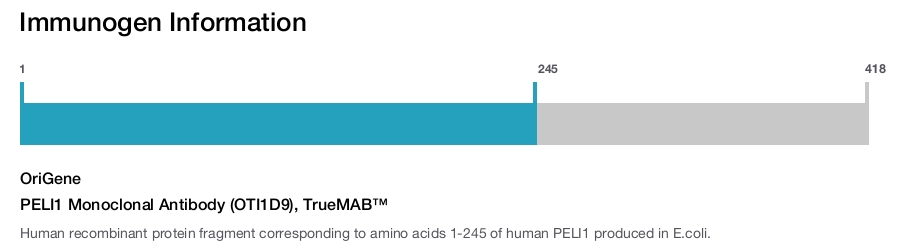 PELI1 Monoclonal Antibody (OTI1D9), TrueMAB&trade;