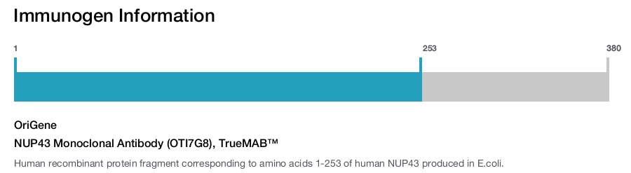 NUP43 Monoclonal Antibody (OTI7G8), TrueMAB&trade;
