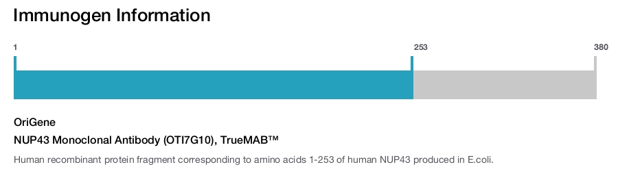 NUP43 Monoclonal Antibody (OTI7G10), TrueMAB&trade;