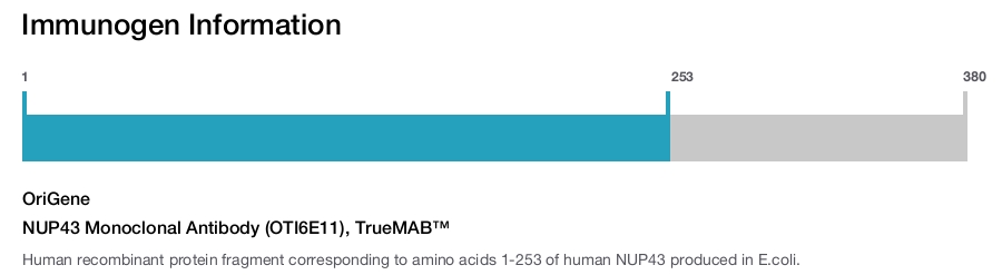 NUP43 Monoclonal Antibody (OTI6E11), TrueMAB&trade;