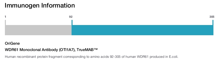 WDR61 Monoclonal Antibody (OTI1A7), TrueMAB&trade;