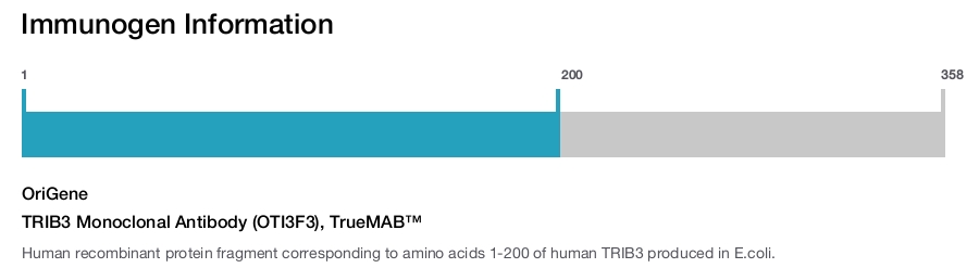 TRIB3 Monoclonal Antibody (OTI3F3), TrueMAB&trade;