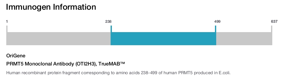 PRMT5 Monoclonal Antibody (OTI2H3), TrueMAB&trade;