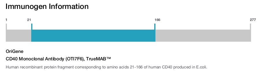 CD40 Monoclonal Antibody (OTI7F6), TrueMAB&trade;