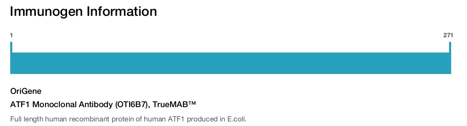 ATF1 Monoclonal Antibody (OTI6B7), TrueMAB&trade;