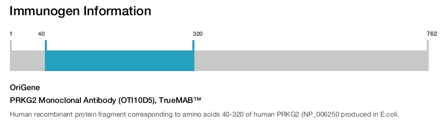 PRKG2 Monoclonal Antibody (OTI10D5), TrueMAB&trade;