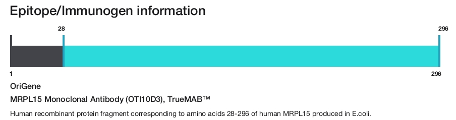 MRPL15 Monoclonal Antibody (OTI10D3), TrueMAB&trade;
