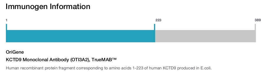 KCTD9 Monoclonal Antibody (OTI3A2), TrueMAB&trade;
