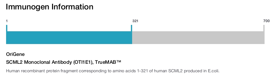 SCML2 Monoclonal Antibody (OTI1E1), TrueMAB&trade;