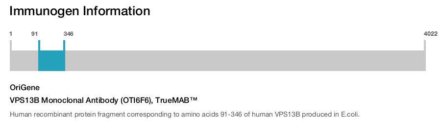 VPS13B Monoclonal Antibody (OTI6F6), TrueMAB&trade;