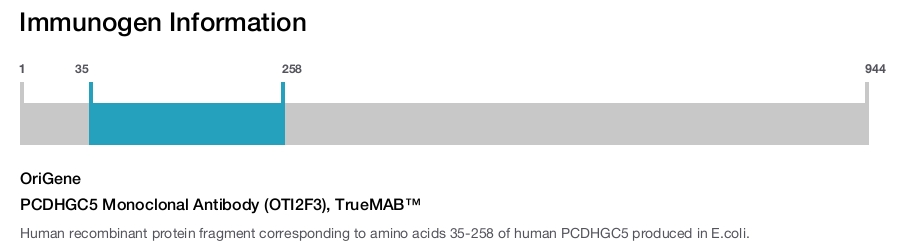PCDHGC5 Monoclonal Antibody (OTI2F3), TrueMAB&trade;