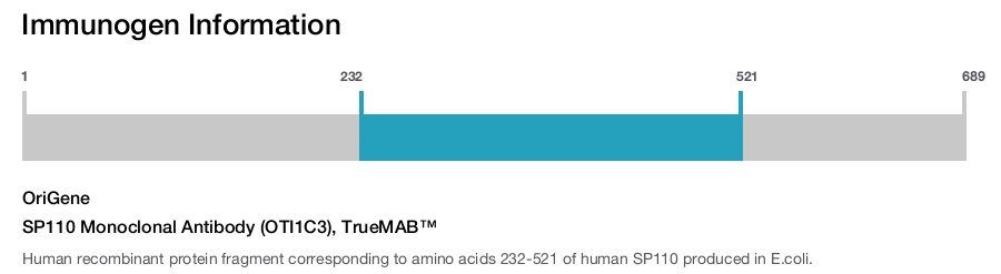 SP110 Monoclonal Antibody (OTI1C3), TrueMAB&trade;