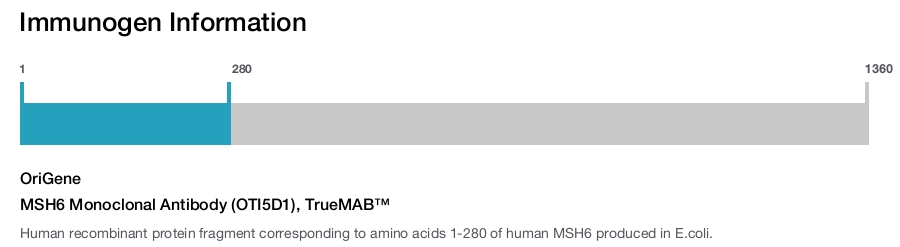 MSH6 Monoclonal Antibody (OTI5D1), TrueMAB&trade;