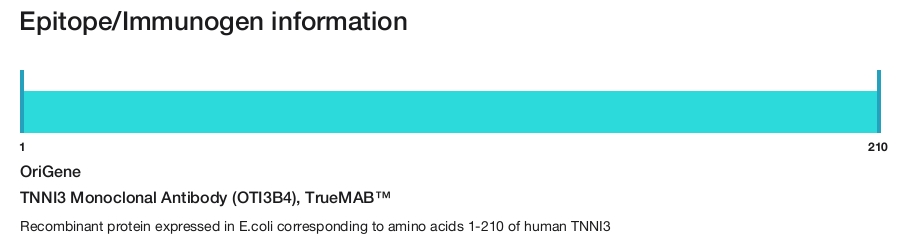 TNNI3 Monoclonal Antibody (OTI3B4), TrueMAB&trade;