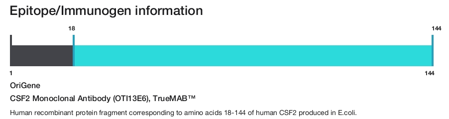 CSF2 Monoclonal Antibody (OTI13E6), TrueMAB&trade;