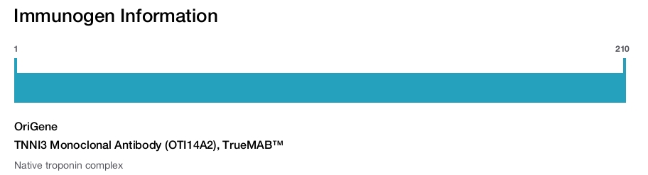 TNNI3 Monoclonal Antibody (OTI14A2), TrueMAB&trade;