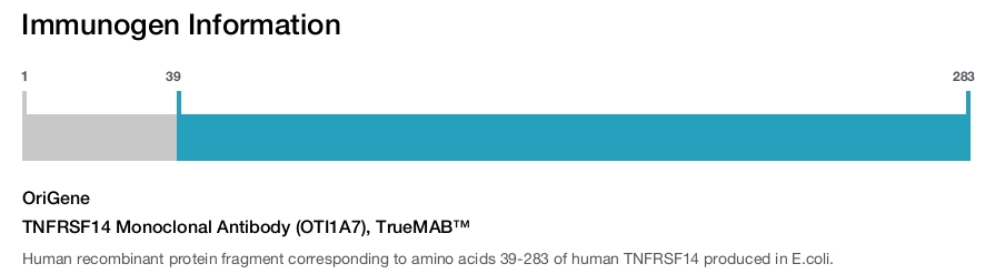 TNFRSF14 Monoclonal Antibody (OTI1A7), TrueMAB&trade;