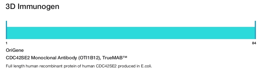 CDC42SE2 Monoclonal Antibody (OTI1B12), TrueMAB&trade;
