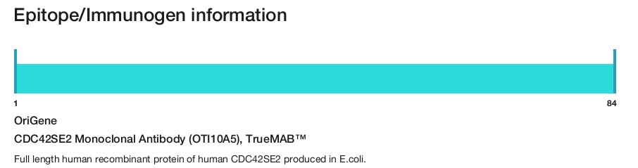 CDC42SE2 Monoclonal Antibody (OTI10A5), TrueMAB&trade;