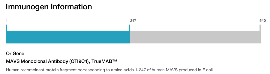 MAVS Monoclonal Antibody (OTI9C4), TrueMAB&trade;