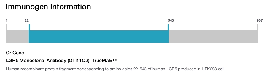 LGR5 Monoclonal Antibody (OTI11C2), TrueMAB&trade;