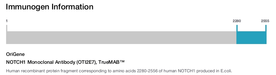 NOTCH1 Monoclonal Antibody (OTI2E7), TrueMAB&trade;