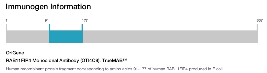RAB11FIP4 Monoclonal Antibody (OTI4C9), TrueMAB&trade;