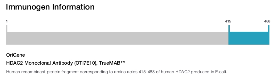 HDAC2 Monoclonal Antibody (OTI7E10), TrueMAB&trade;