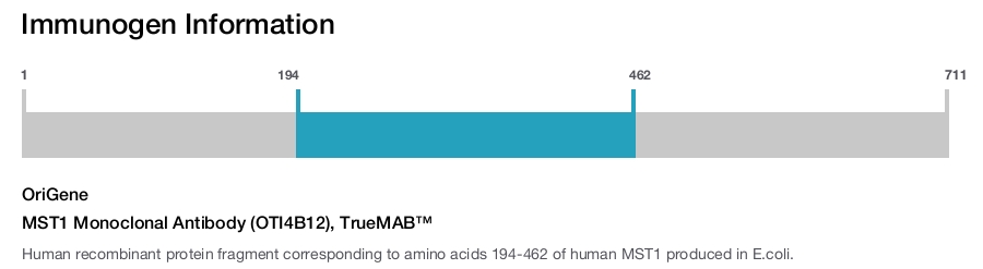 MST1 Monoclonal Antibody (OTI4B12), TrueMAB&trade;