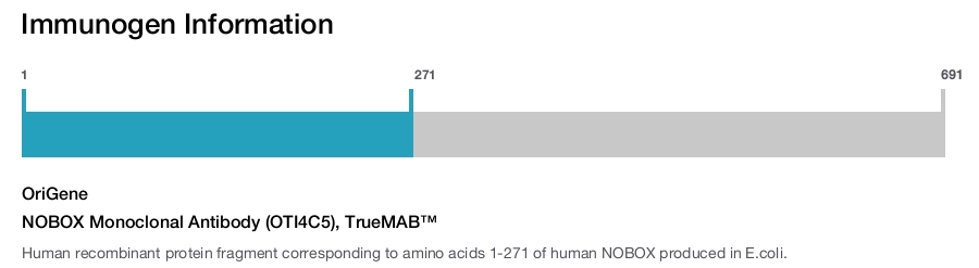 NOBOX Monoclonal Antibody (OTI4C5), TrueMAB&trade;