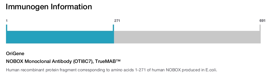 NOBOX Monoclonal Antibody (OTI8C7), TrueMAB&trade;