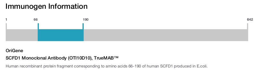 SCFD1 Monoclonal Antibody (OTI10D10), TrueMAB&trade;