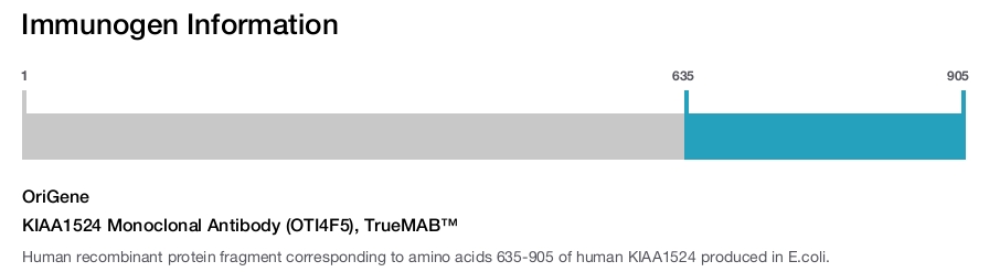 KIAA1524 Monoclonal Antibody (OTI4F5), TrueMAB&trade;
