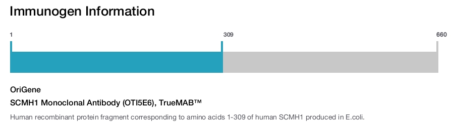 SCMH1 Monoclonal Antibody (OTI5E6), TrueMAB&trade;