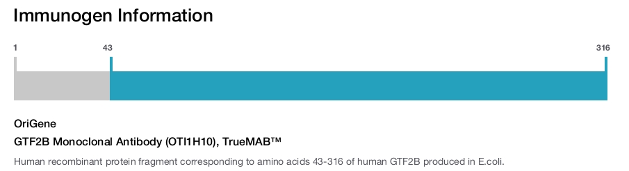 GTF2B Monoclonal Antibody (OTI1H10), TrueMAB&trade;