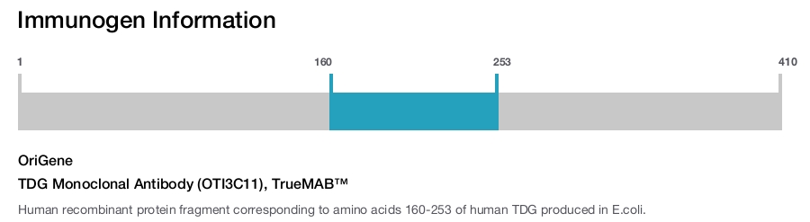 TDG Monoclonal Antibody (OTI3C11), TrueMAB&trade;