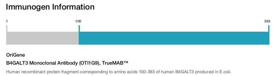 B4GALT3 Monoclonal Antibody (OTI1G9), TrueMAB&trade;