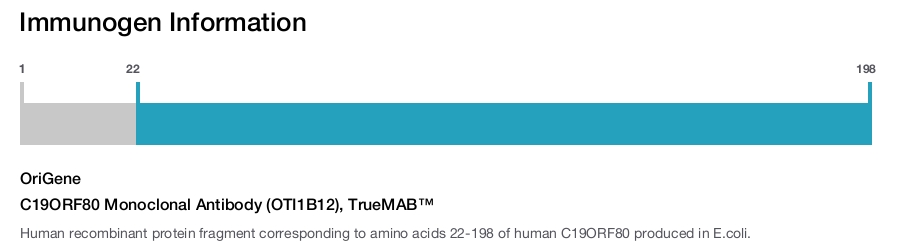 C19ORF80 Monoclonal Antibody (OTI1B12), TrueMAB™