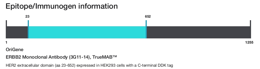 ERBB2 Monoclonal Antibody (3G11-14), TrueMAB&trade;